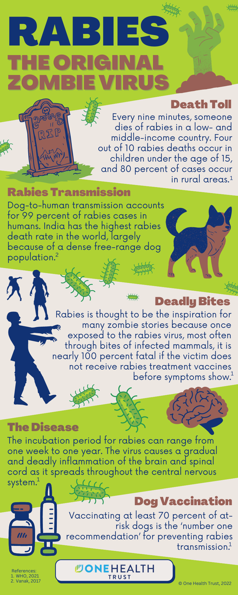 Text Heavy Infographic on Rabies