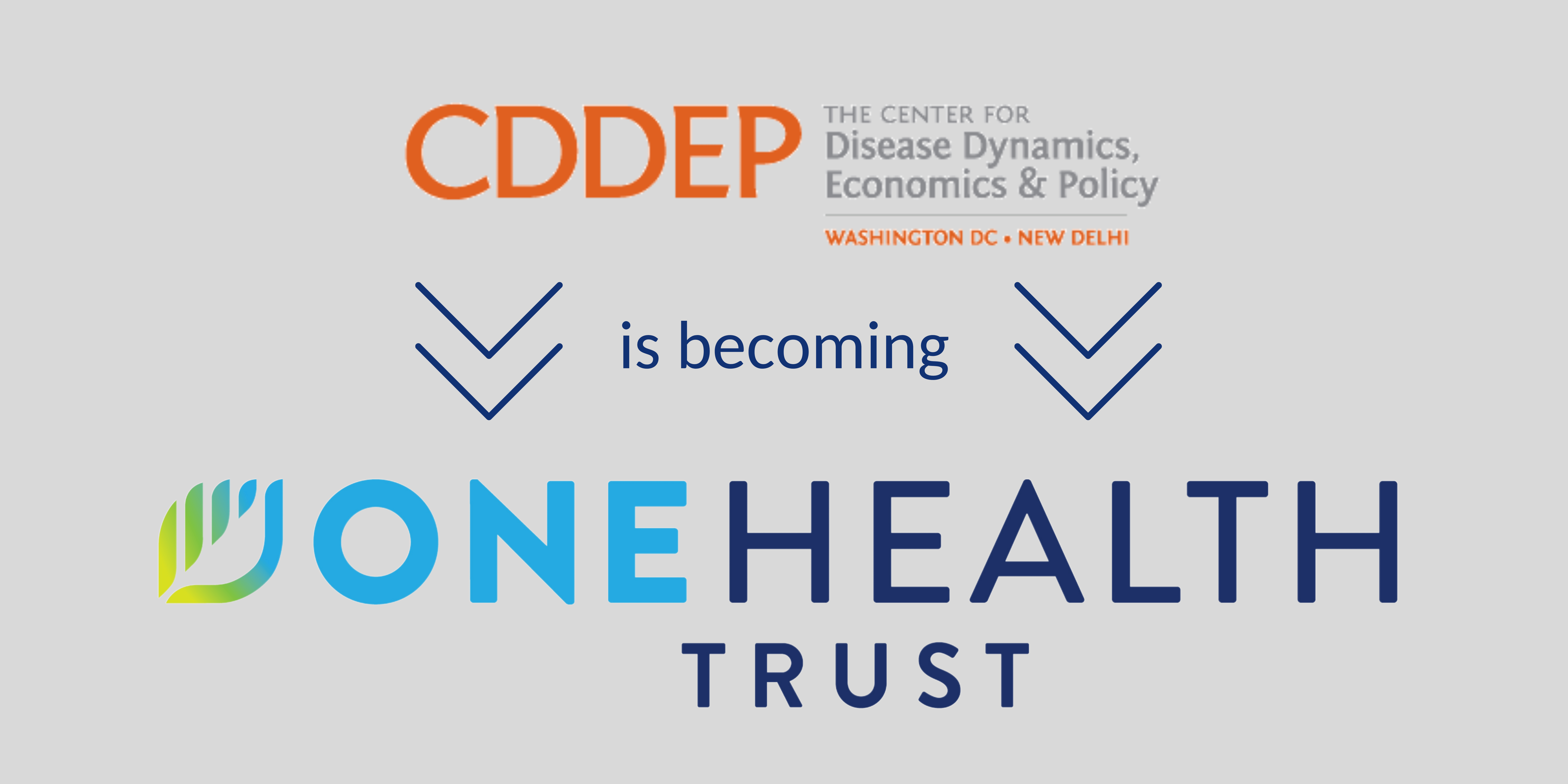Banner with the CDDEP logo, with arrows below alongside the text "is becoming", directed toward the One Health Trust logo.