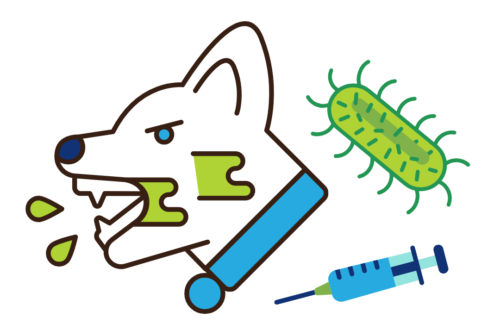 Rabid Dog, Rabies Virus, Rabies Vaccine