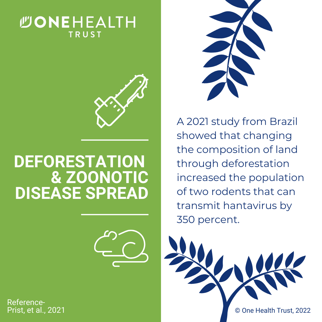 Deforestation & zoonotic disease spread