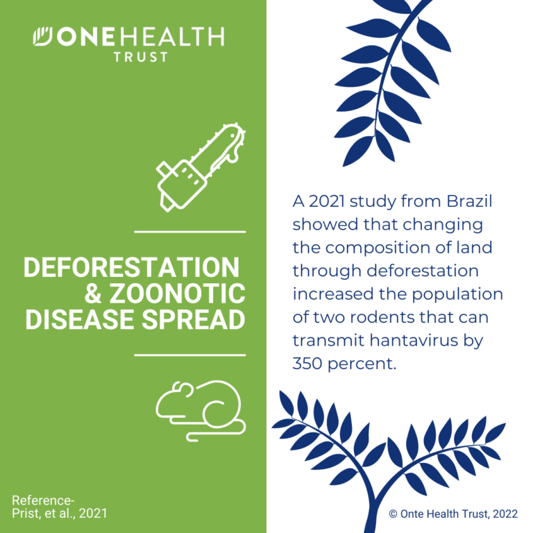 DEFORESTATION & ZOONOTIC DISEASE SPREAD - One Health Trust