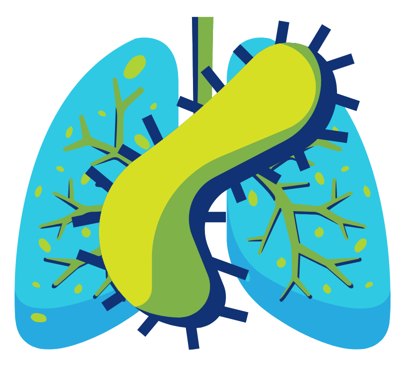 Cartoon lungs with cartoon rendering of the tuberculosis microbe over it.