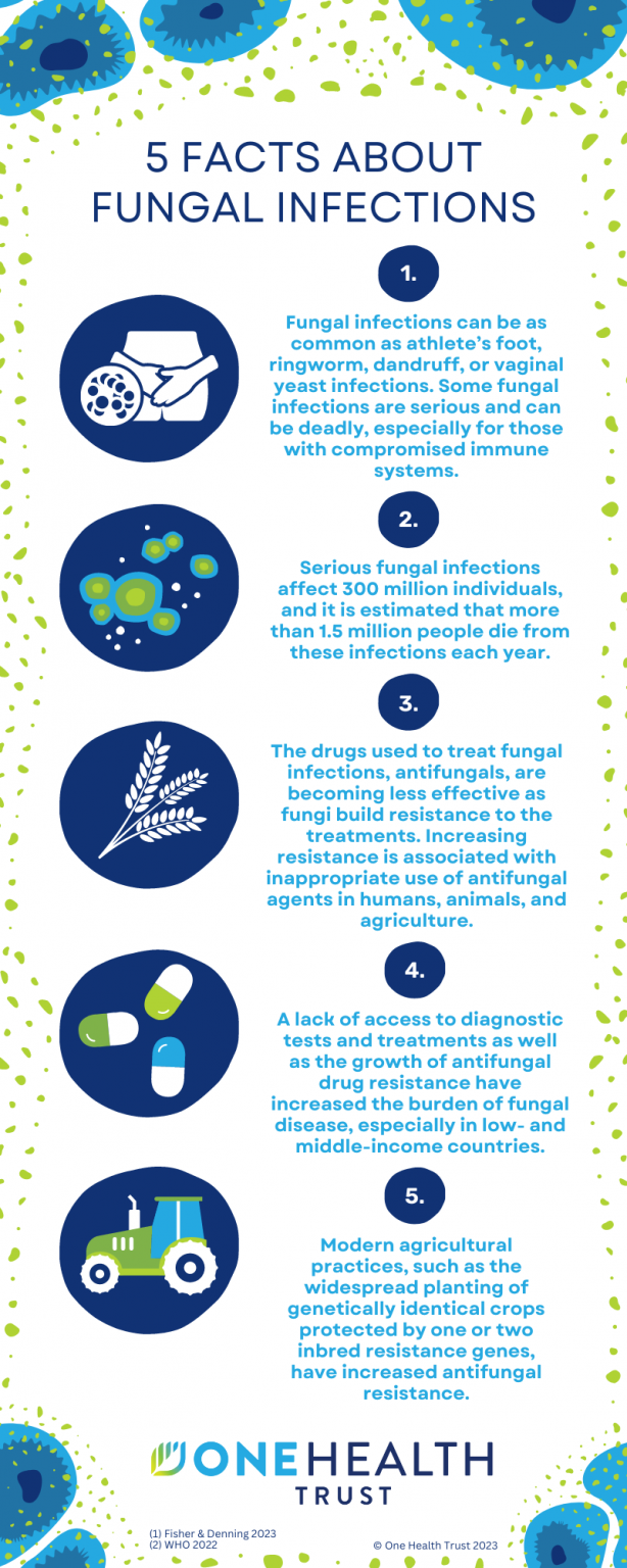 5 Facts About Fungal Infections One Health Trust