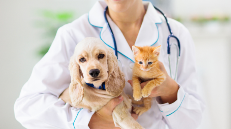 A dogs and a cat in the arms of a person in a white doctor's coat with a stethascope
