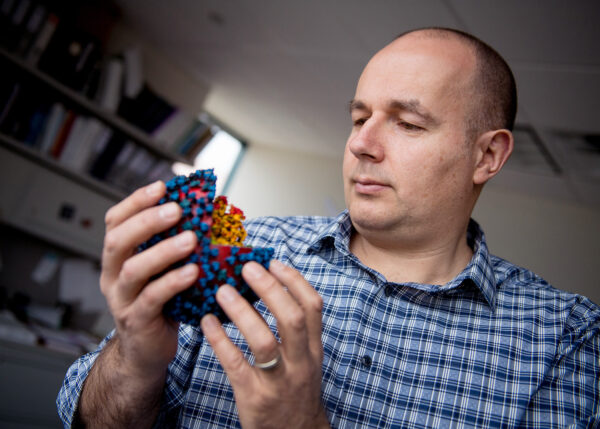 Image of Dr. Richard Webby holding a 3-D model of a virus