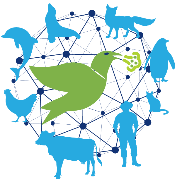 Graphic depicting sick bird, surrounded by a network symbol and different animals that have been infected by bird flu