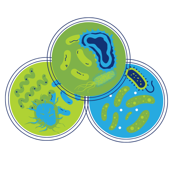An icon of bacteria in a petri dish