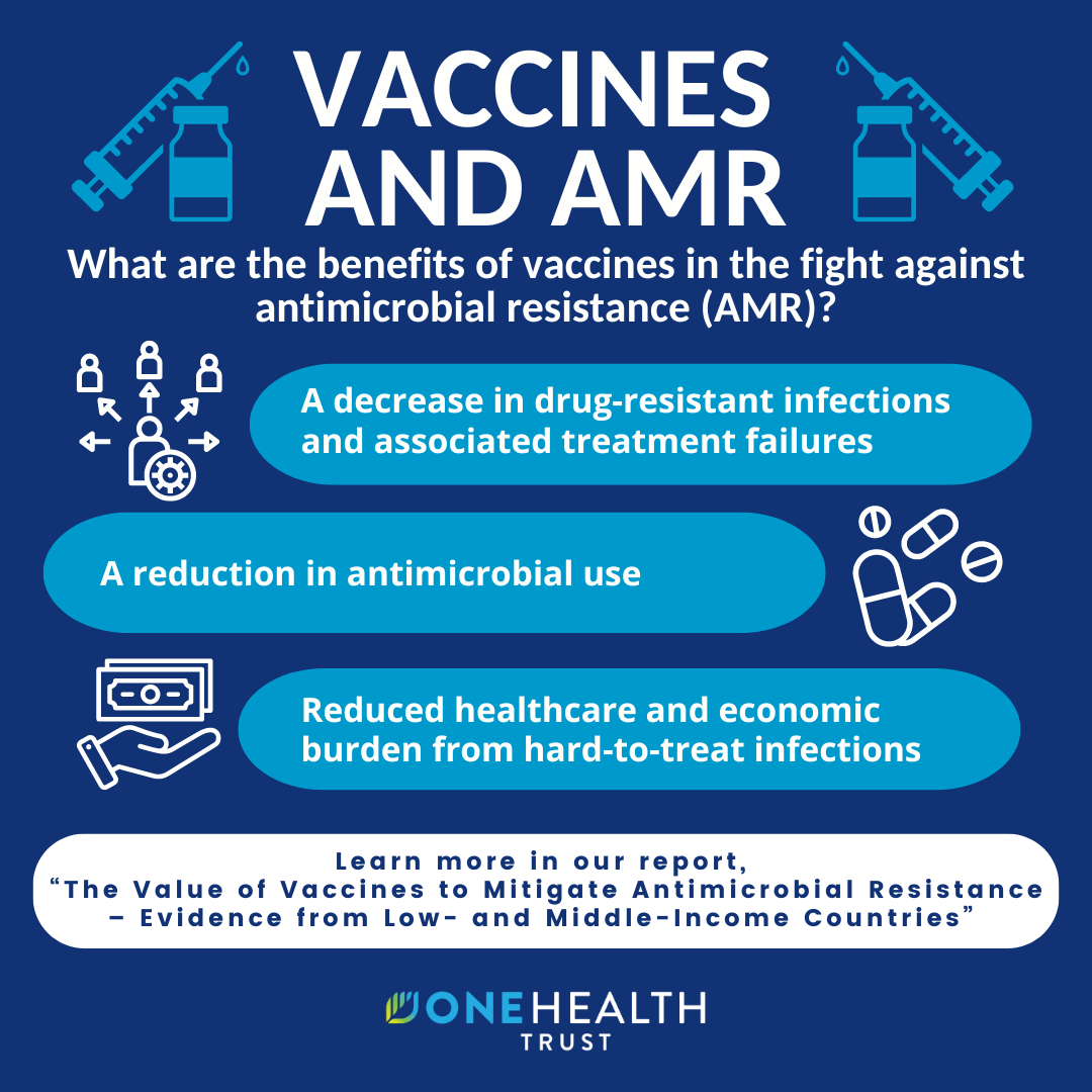 Vaccines and AMR