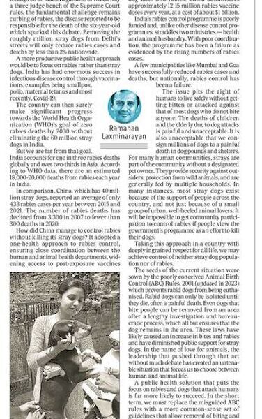 Focus on rabies control, not stray dog population