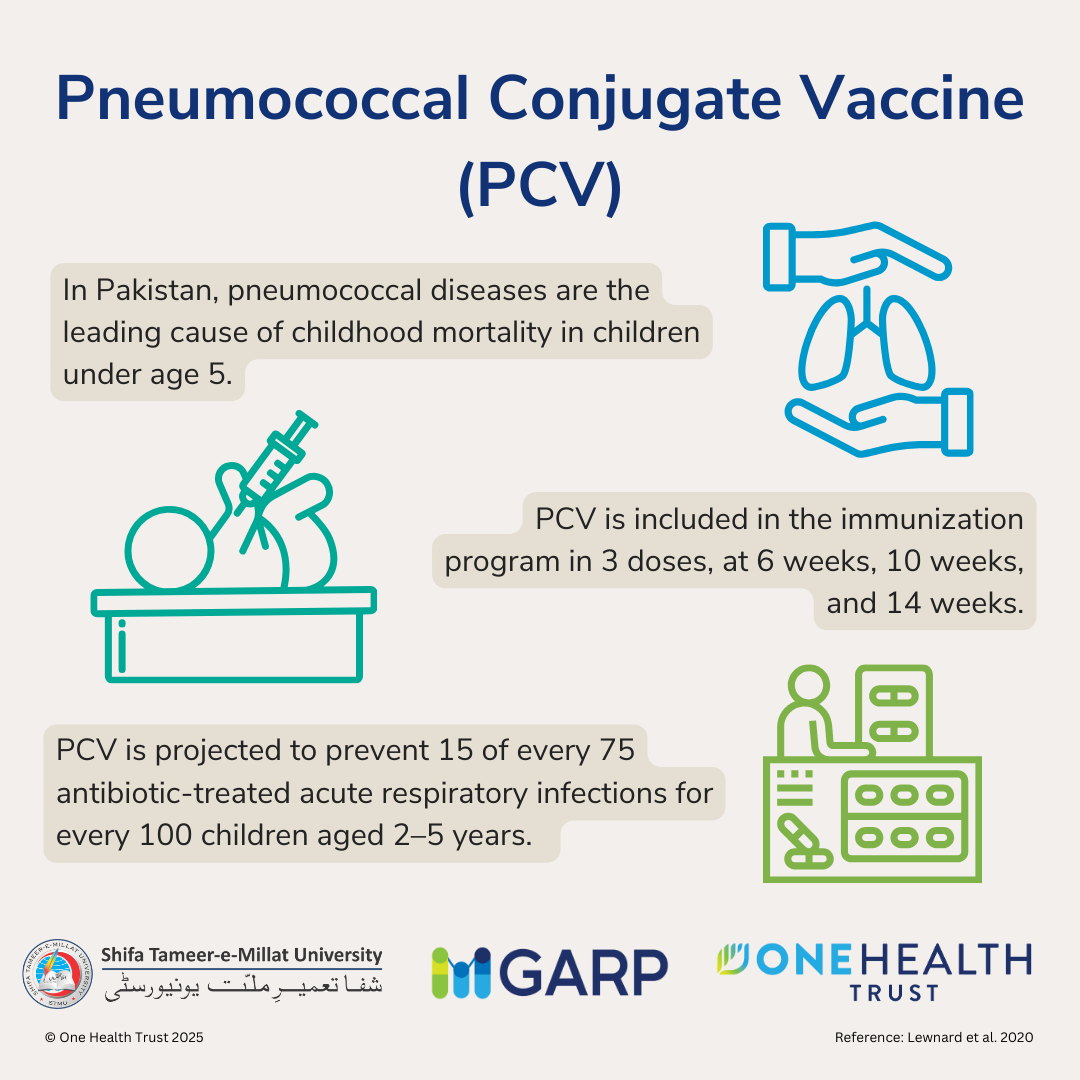 Pneumococcal Conjugate Vaccine (PCV)