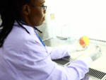 Woman running bacteriological testing in KEMRI lab