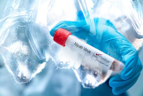 Nipah Virus,