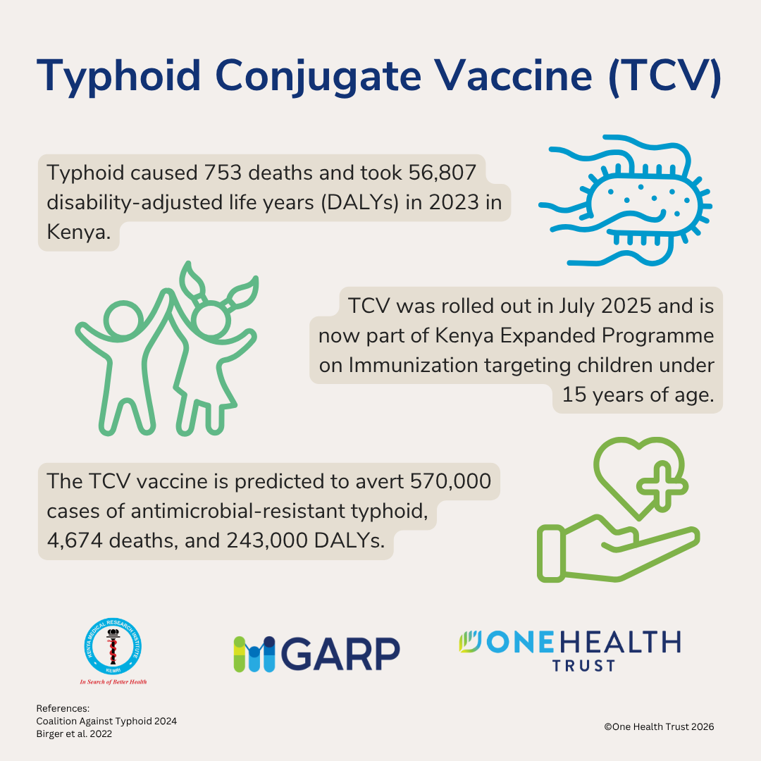Typhoid Conjugate Vaccine (TCV)