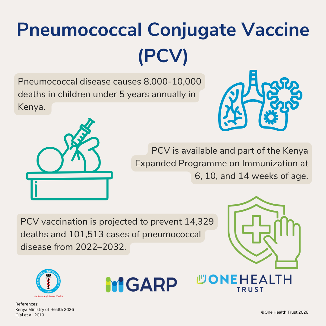 Pneumococcal Conjugate Vaccine (PCV)
