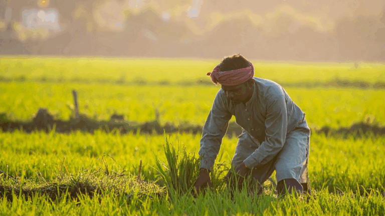 Sustainable Agriculture