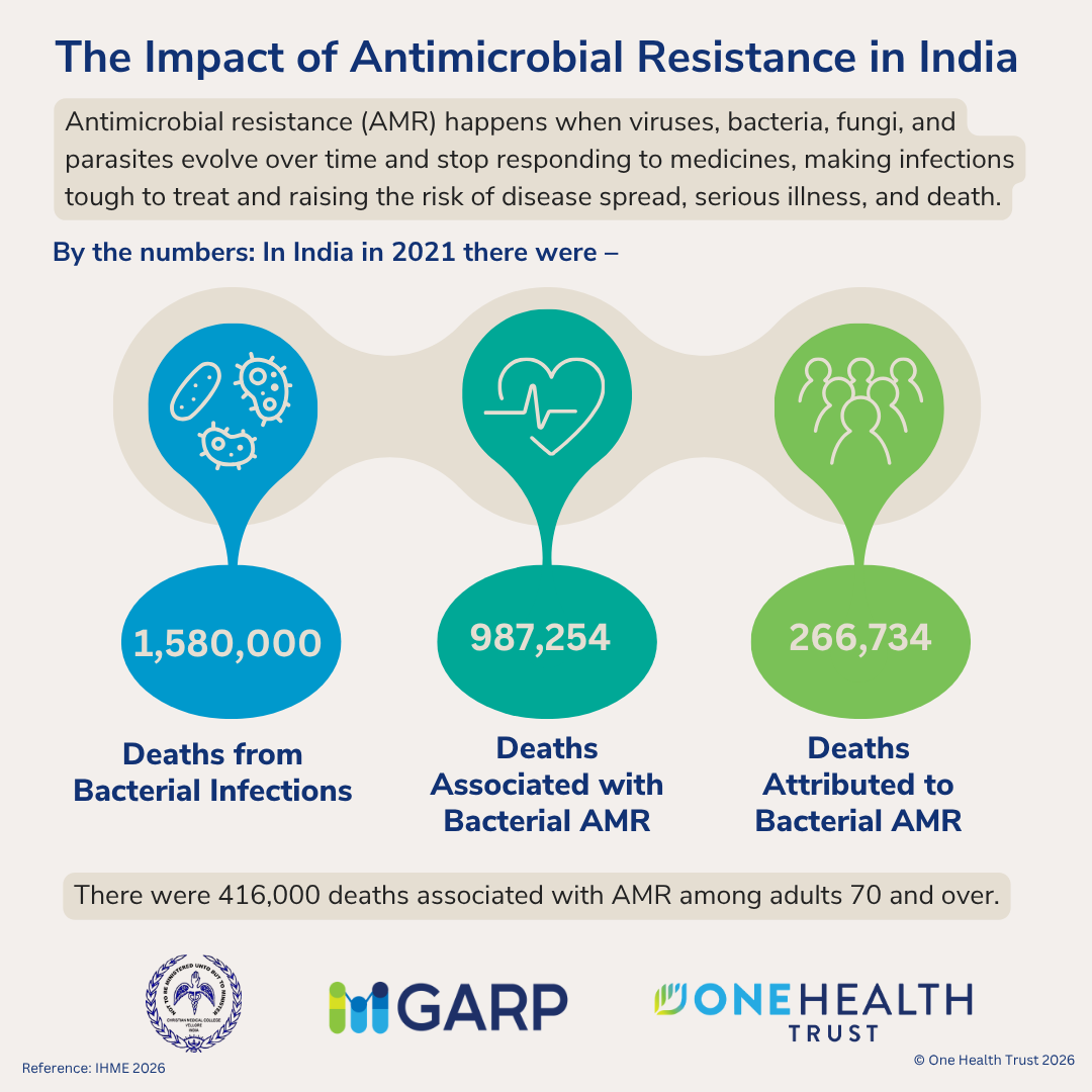 The Impact of Antimicrobial Resistance in India