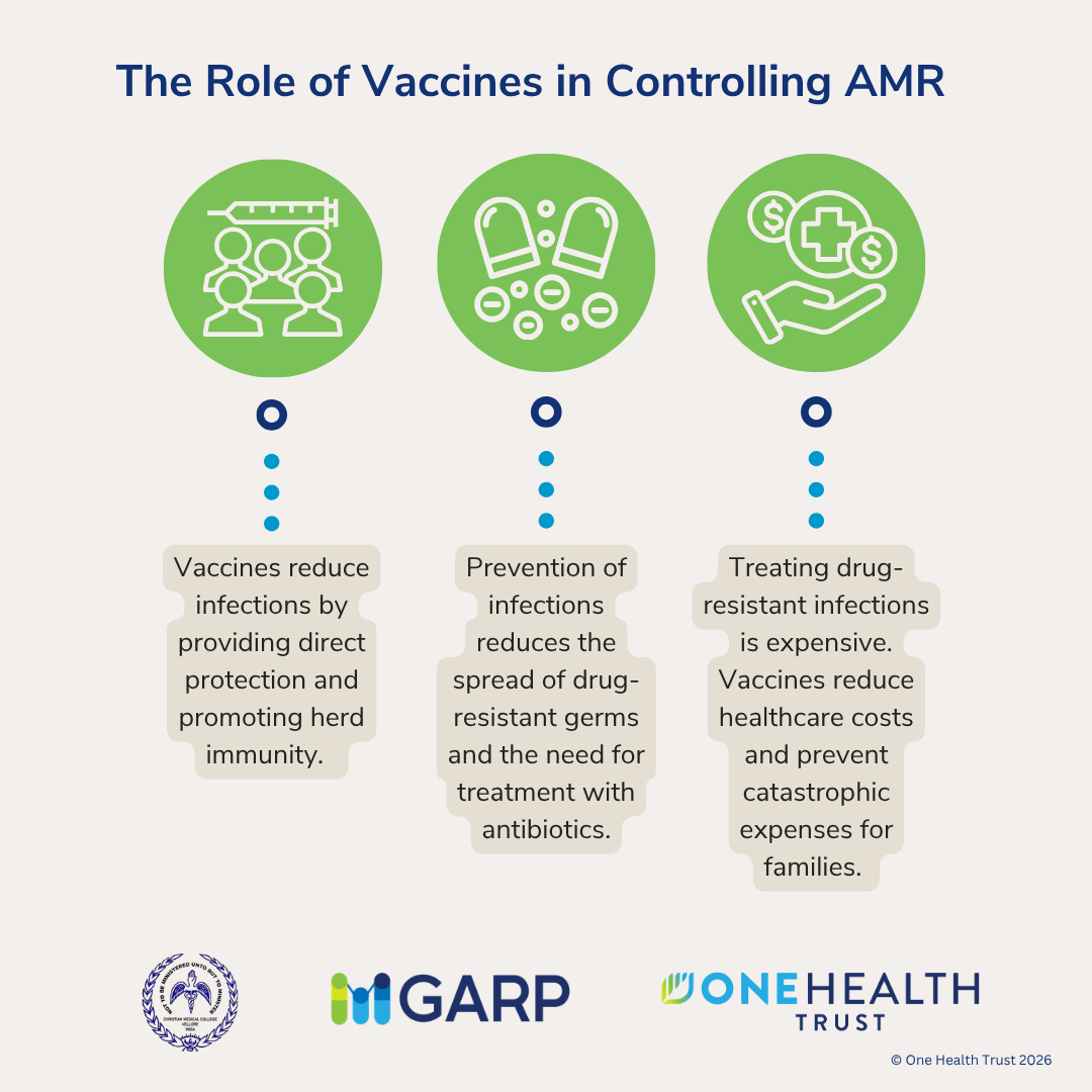 The Role of Vaccines in Controlling AMR