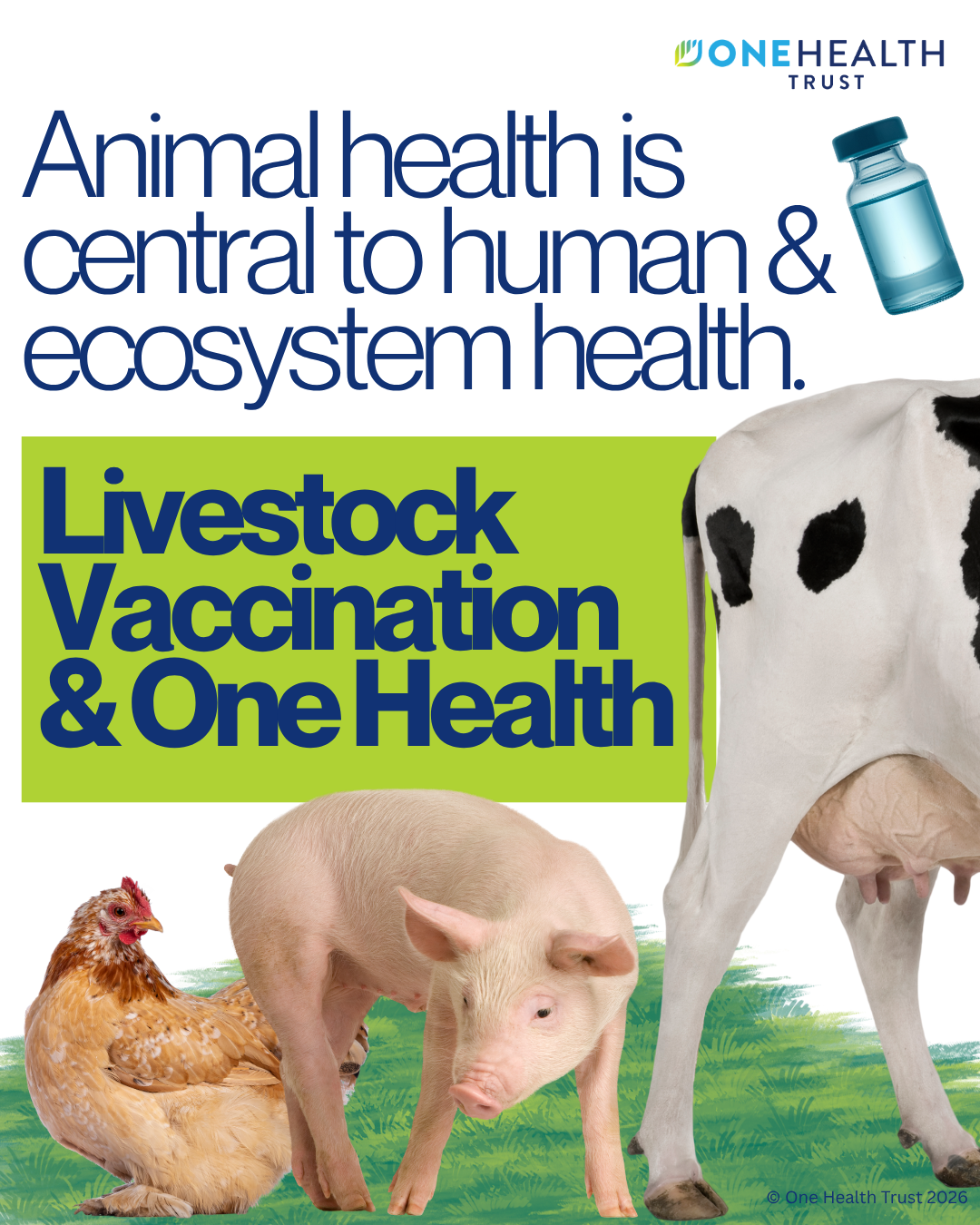 Livestock Vaccination and One Health