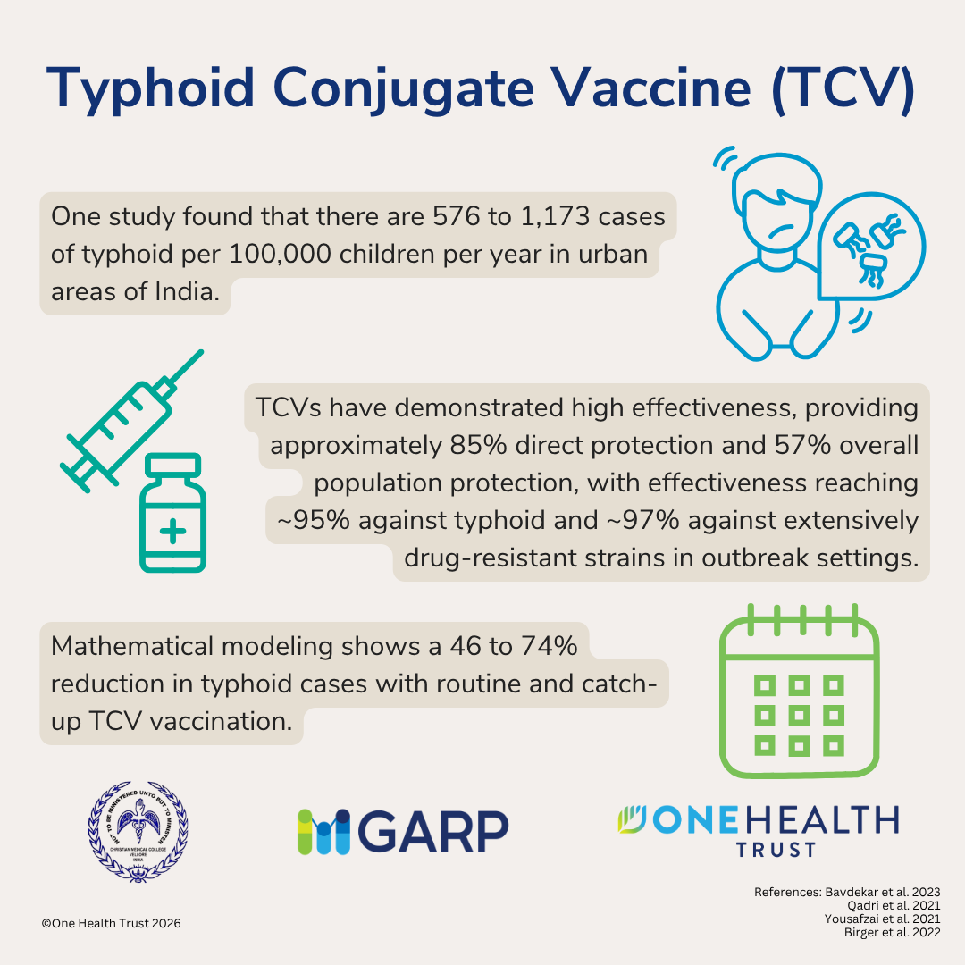 Typhoid Conjugate Vaccine (TCV) in India
