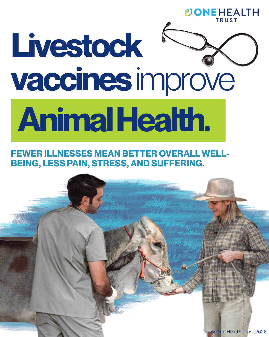 Livestock vaccines improve animal health 