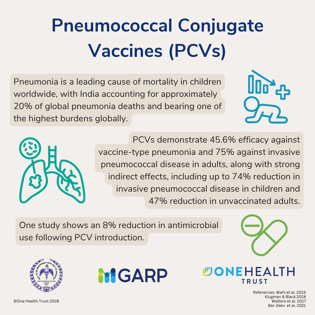 Pneumococcal Conjugate Vaccines (PCVs)