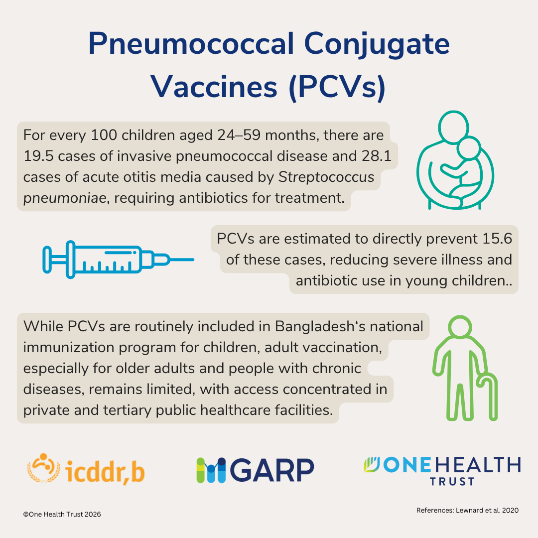 Pneumococcal Conjugate Vaccines (PCVs)