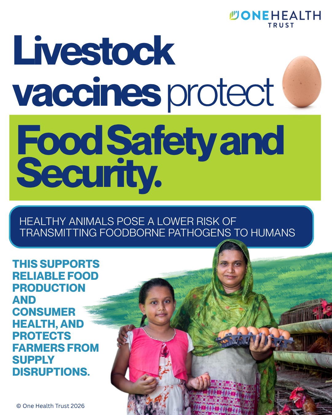Livestock vaccines protect food security and safety 