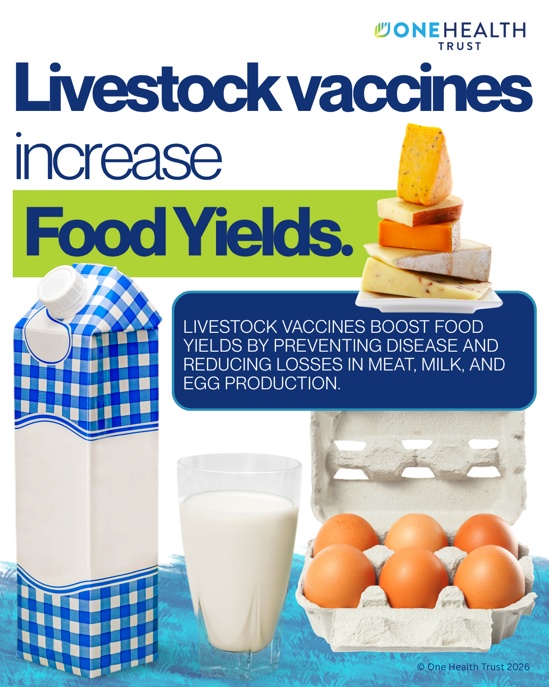 Livestock vaccines increase food yields 