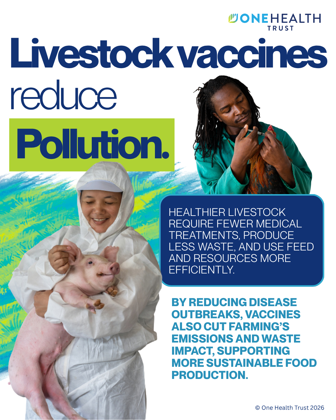 Livestock vaccines reduce pollution