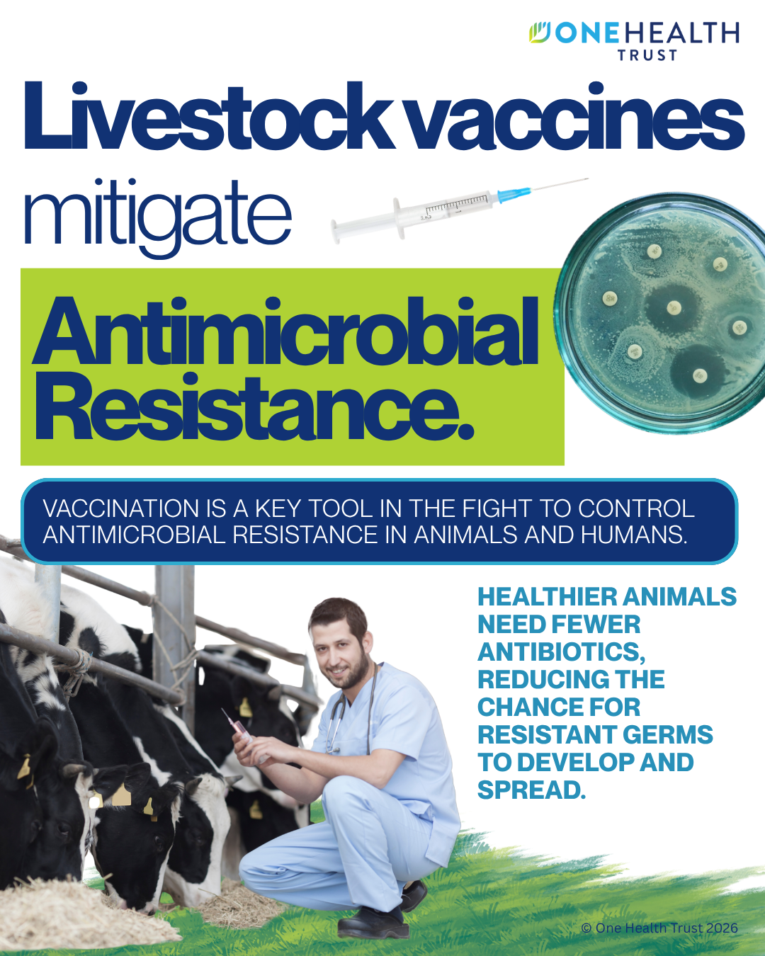 Livestock vaccines mitigate antimicrobial resistance 