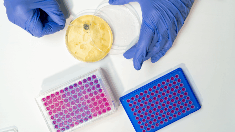 Antibiotic research