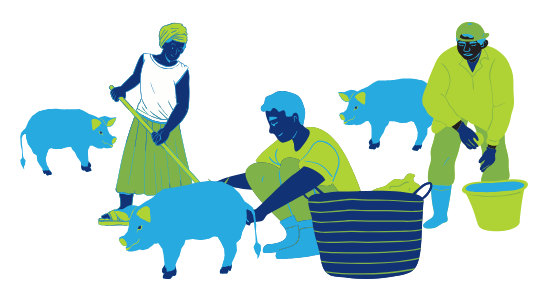 Men and women taken care of pigs