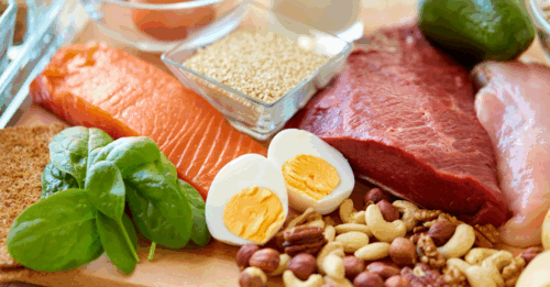 Protein diet