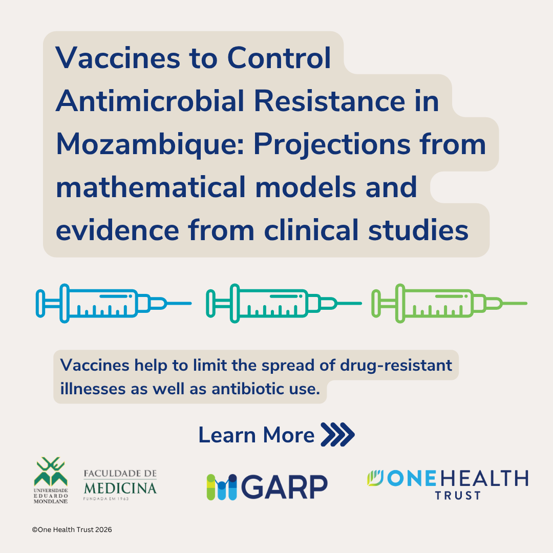 Vaccines to Control Antimicrobial Resistance in Mozambique: Projections from mathematical models and evidence from clinical studies