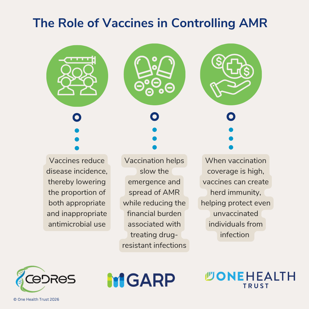 The Role of Vaccines in Controlling AMR
