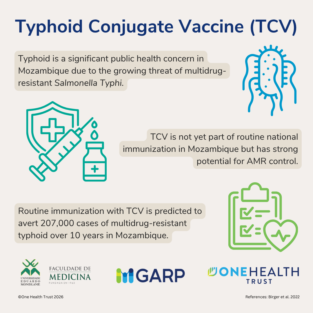 Vaccines to Control Antimicrobial Resistance in Mozambique: Projections from mathematical models and evidence from clinical studies