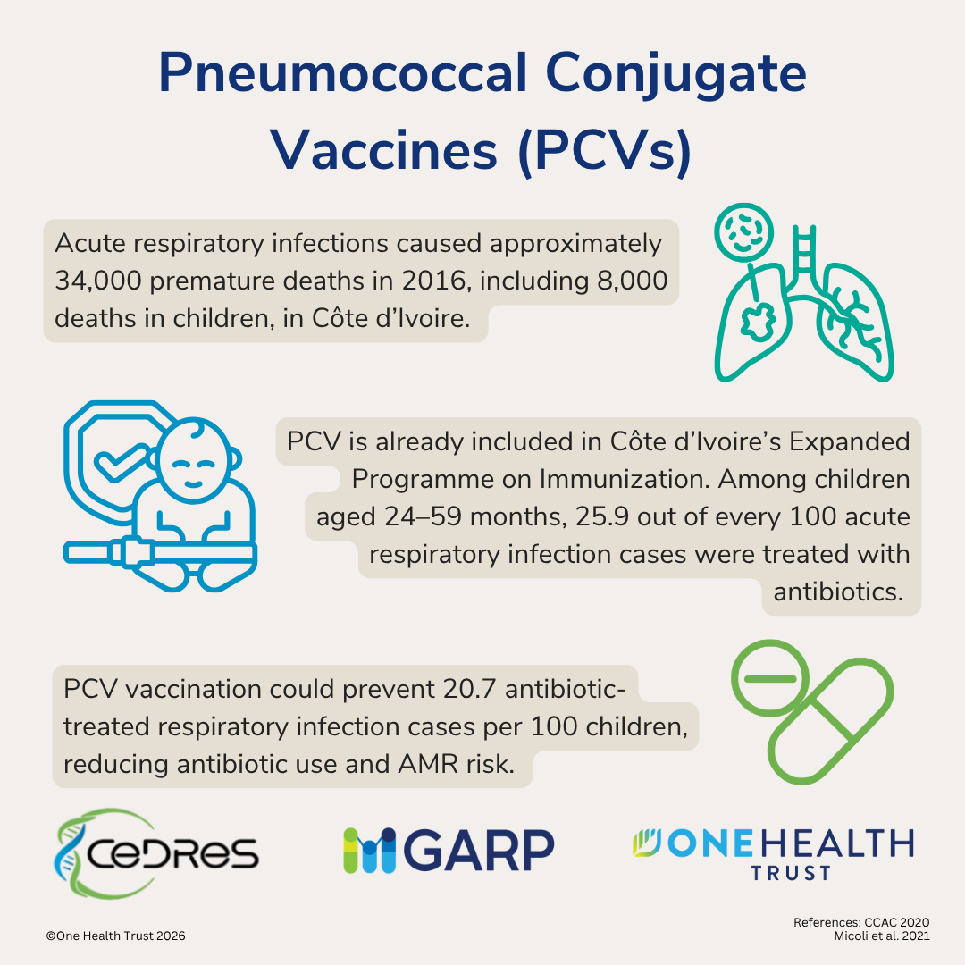 Pneumococcal Conjugate Vaccines (PCVs)