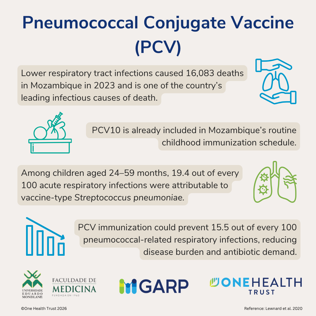 Vaccines to Control Antimicrobial Resistance in Mozambique: Projections from mathematical models and evidence from clinical studies