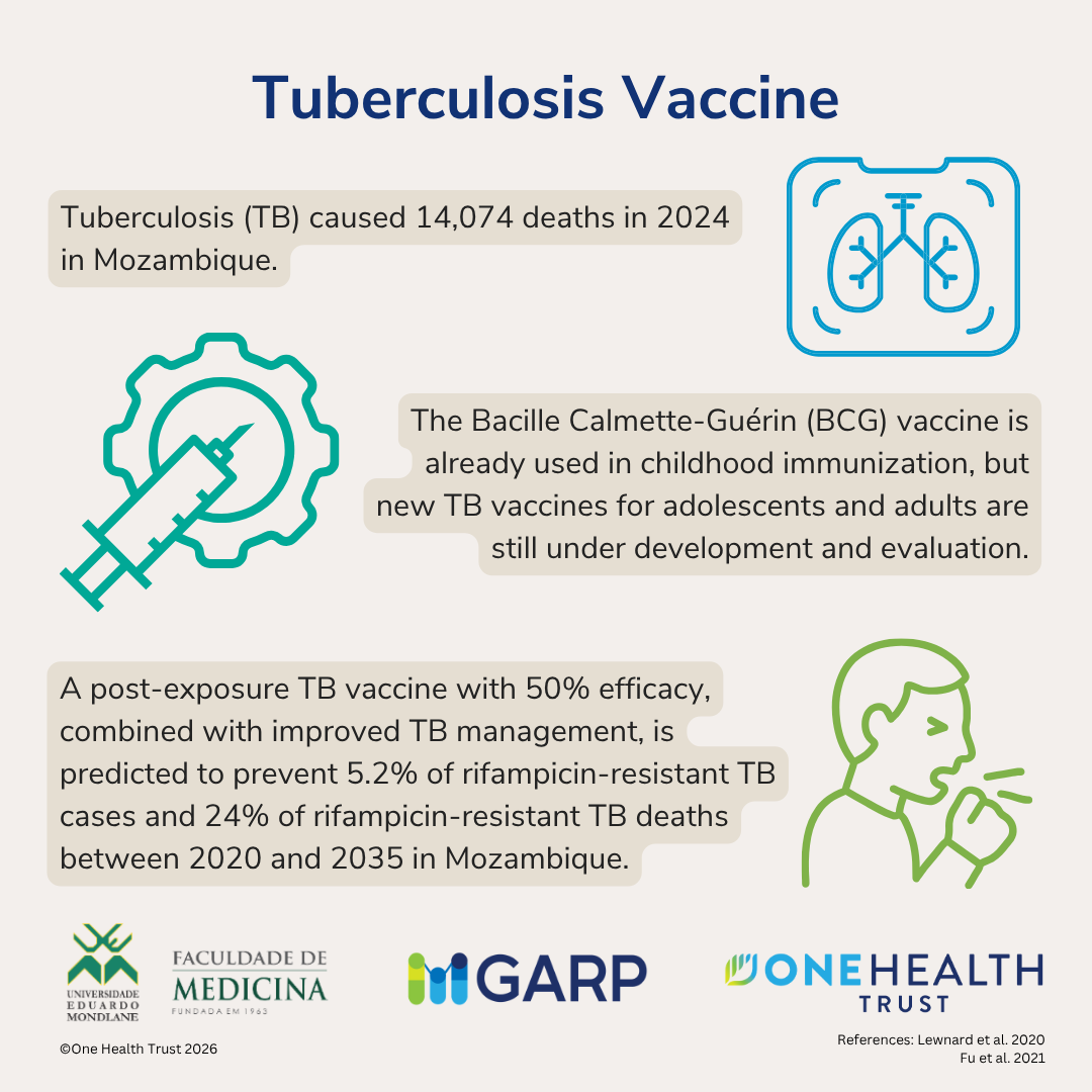 Vaccines to Control Antimicrobial Resistance in Mozambique: Projections from mathematical models and evidence from clinical studies