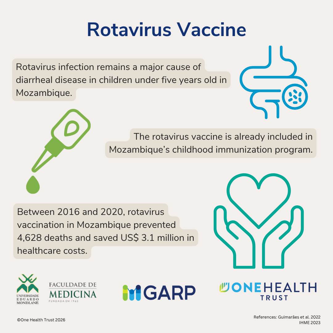 Vaccines to Control Antimicrobial Resistance in Mozambique: Projections from mathematical models and evidence from clinical studies
