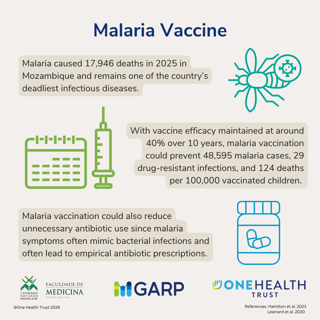 Vaccines to Control Antimicrobial Resistance in Mozambique: Projections from mathematical models and evidence from clinical studies