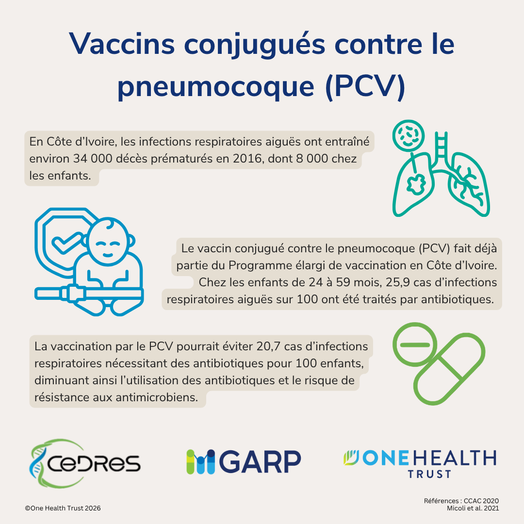 Vaccins conjugués contre le pneumocoque (PCV)