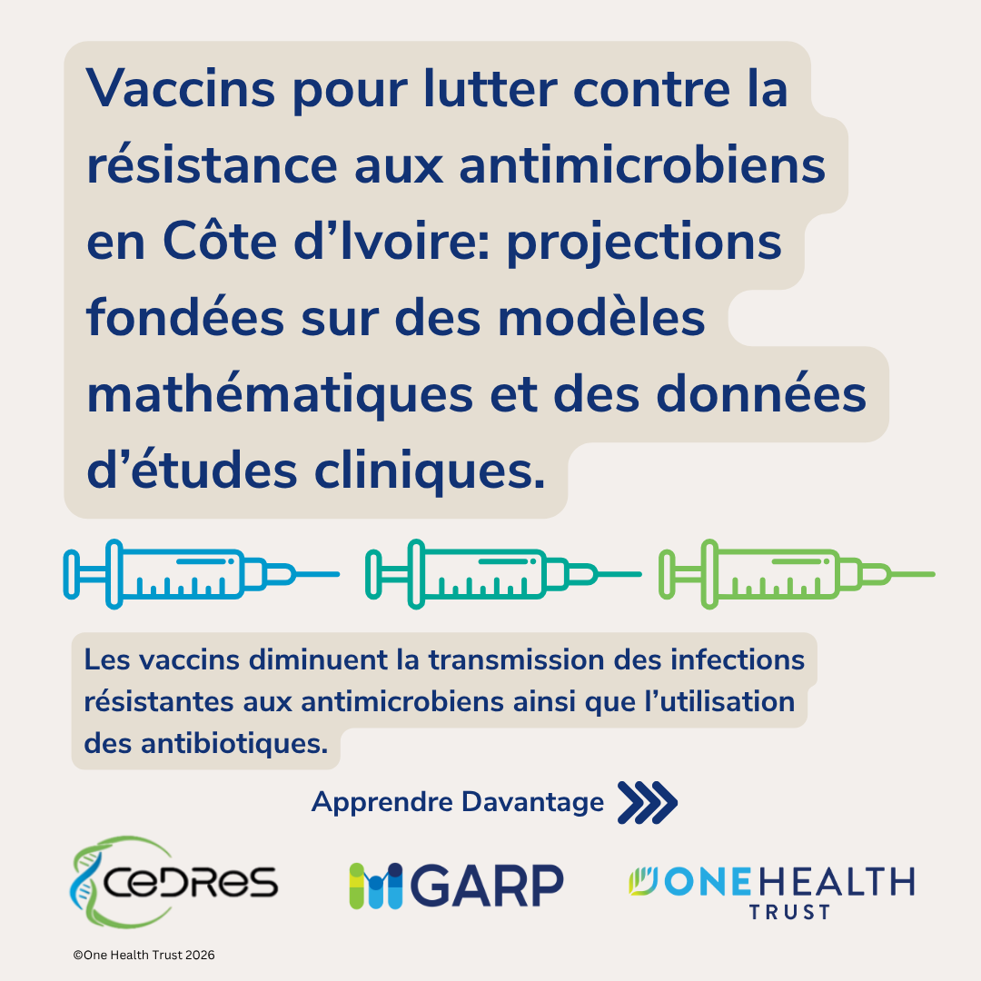 Vaccins pour lutter contre la résistance aux antimicrobiens en Côte d’Ivoire