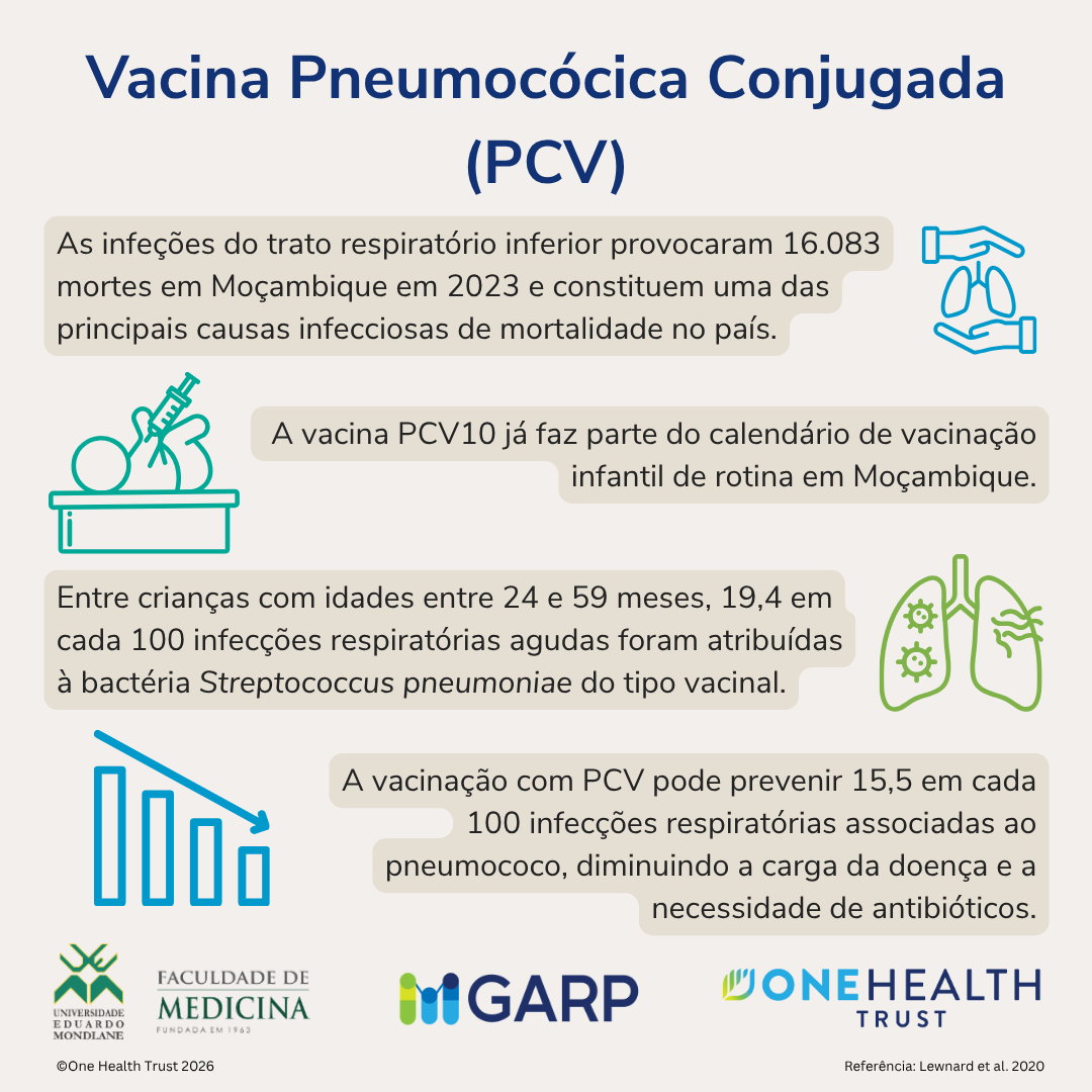 Vacinas para Combater a Resistência aos Antimicrobianos em Moçambique