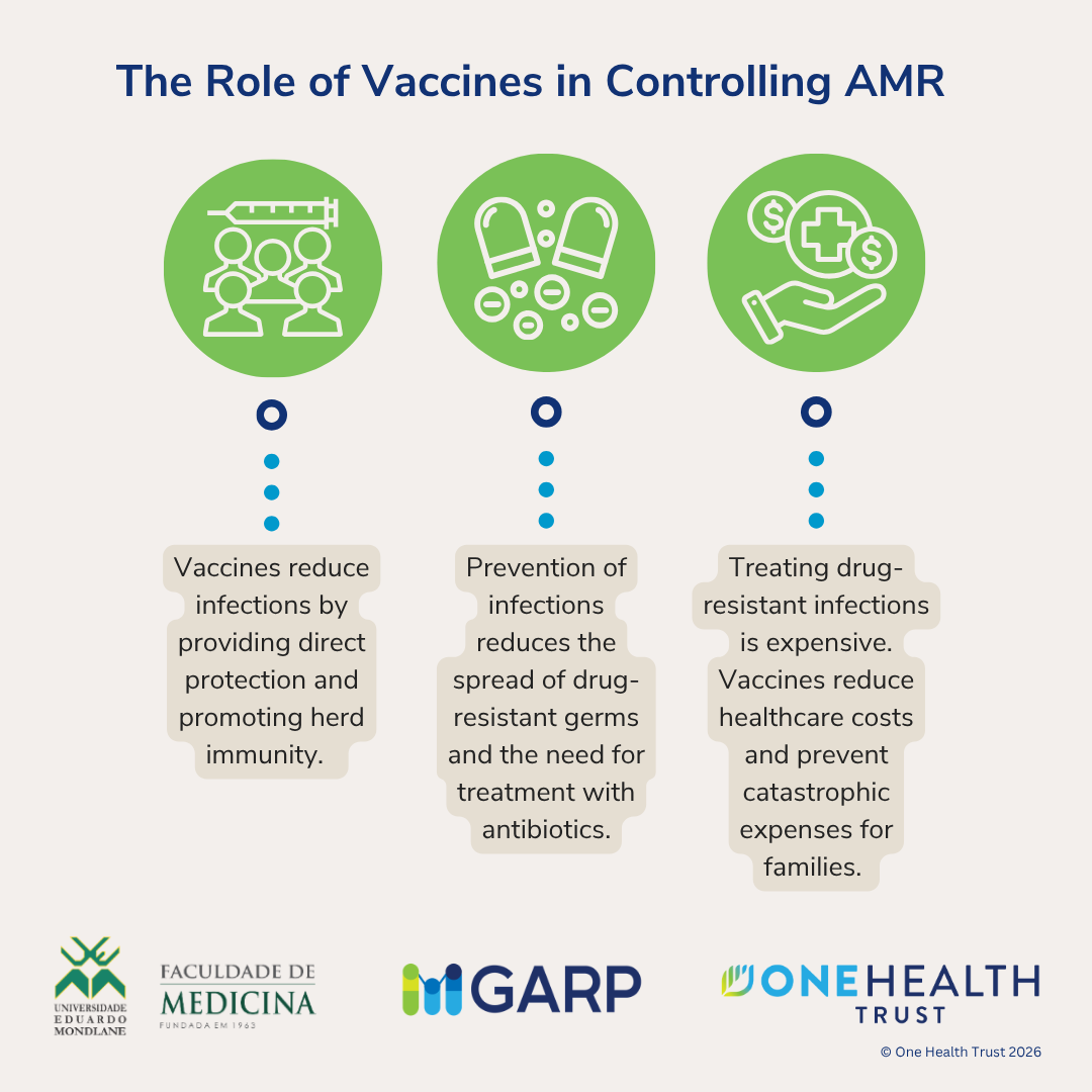 The impact of AMR in Mozambique