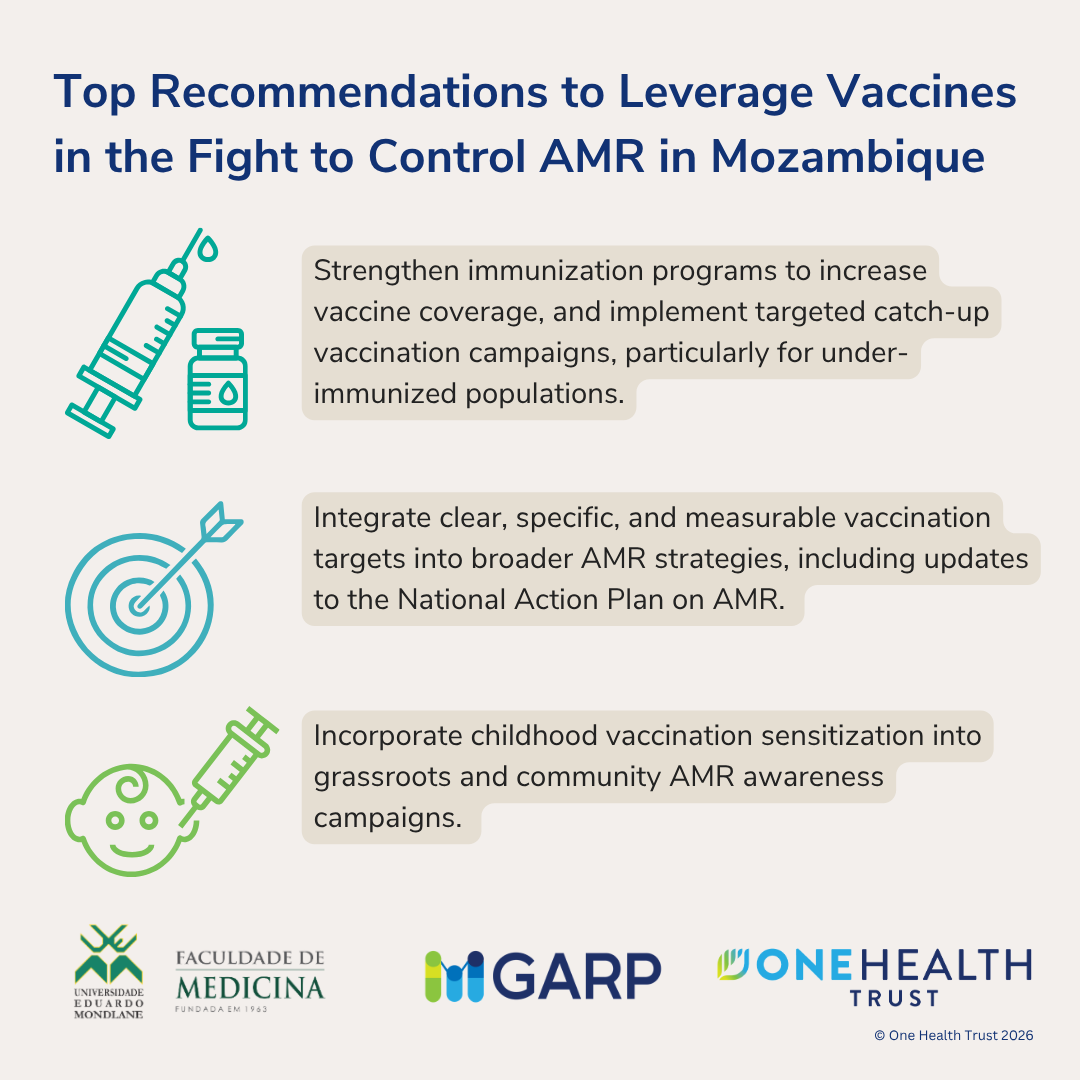 Top Recommendations to Leverage Vaccines in the Fight to Control AMR in Mozambique