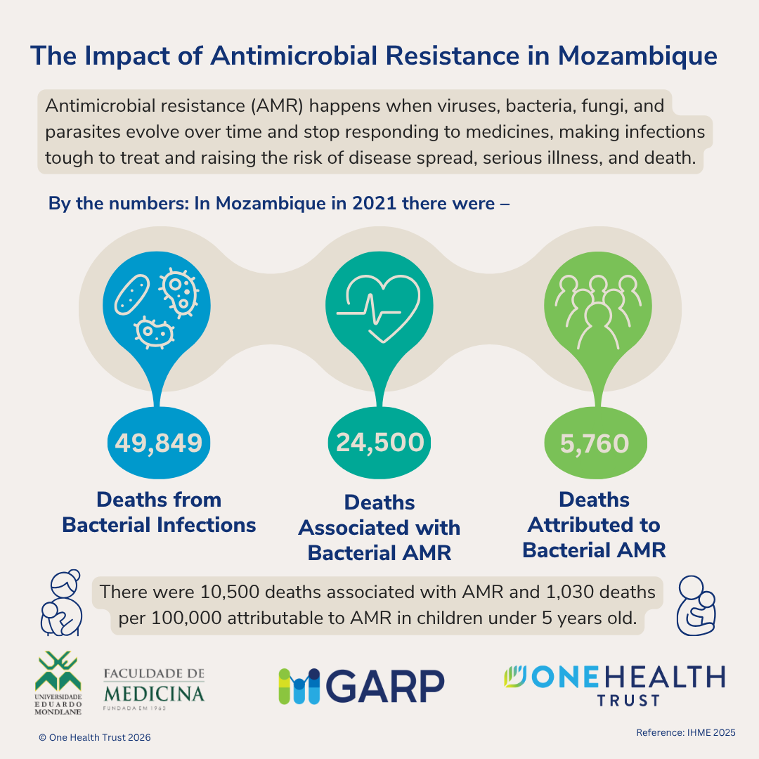 The Impact of Antimicrobial Resistance in Mozambique